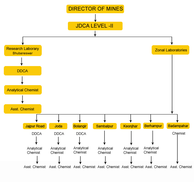 organisation structure