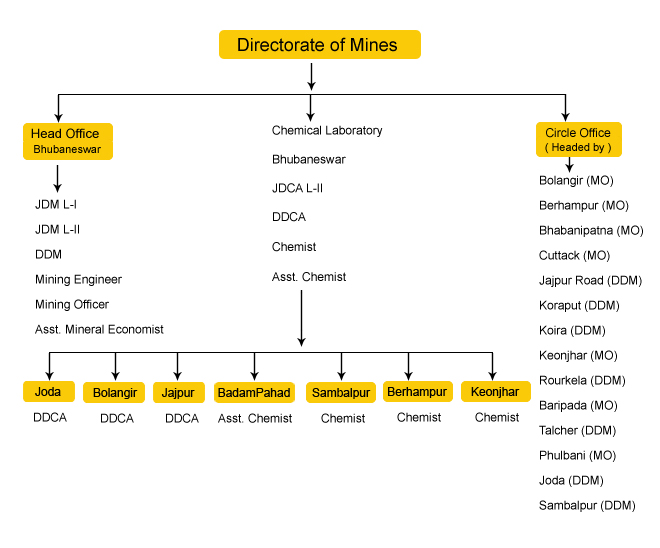 Organisation Chart of the Department